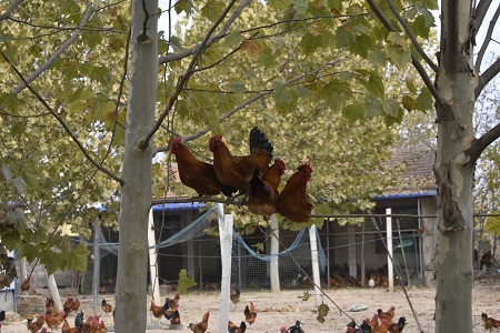 ���ݿ��Ρ��й��Ρ��ٷ���վ